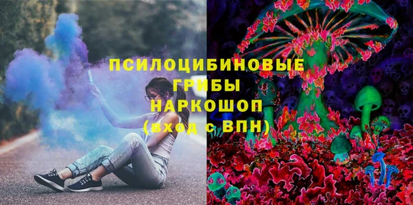 PSILOCYBIN Богородск